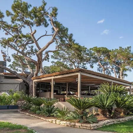 Balmy Foresta Üdülőközpont