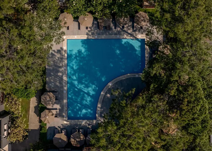 Balmy Foresta 5* Beldibi (Kemer)