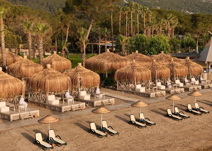 Semesteranläggning (resort) Balmy Foresta