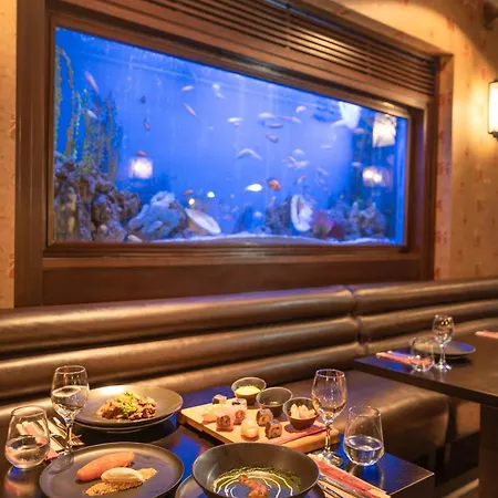 Complex Balmy Foresta 5*