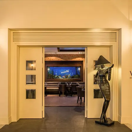 Complex Balmy Foresta