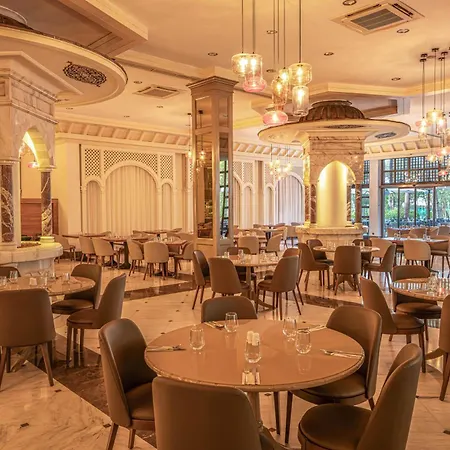 Complex Balmy Foresta