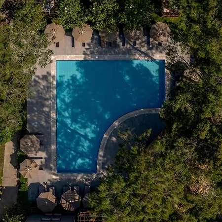 Balmy Foresta 5* Beldibi (Kemer)