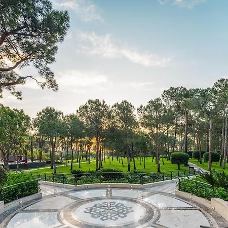 Complex Balmy Foresta