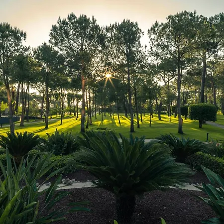 Balmy Foresta 5*