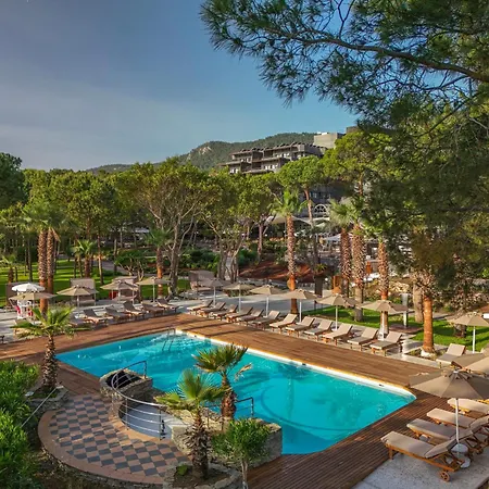 Complex Balmy Foresta 5*