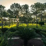 Balmy Foresta 5*